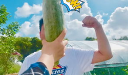 网红最新吃瓜爆料,娱乐圈惊天大瓜，揭秘明星背后惊人真相！